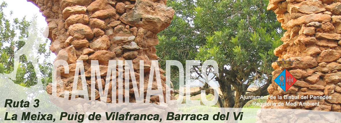 Rutes a la Bisbal del Penedès