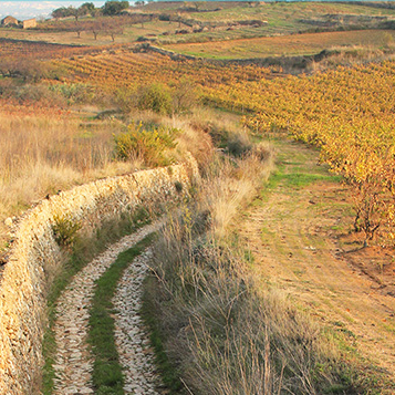 Rutes a la Bisbal del Penedès