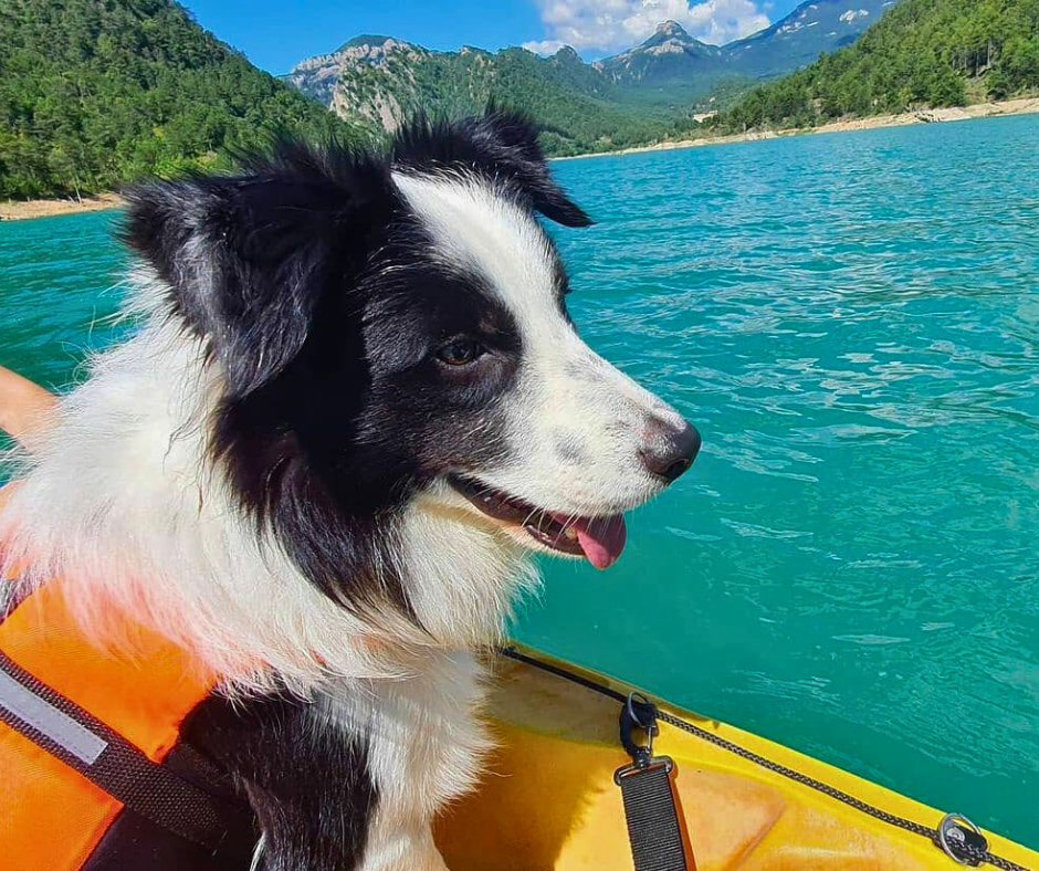 Lloguer d'embarcacions a La Llosa del Cavall - Esportec