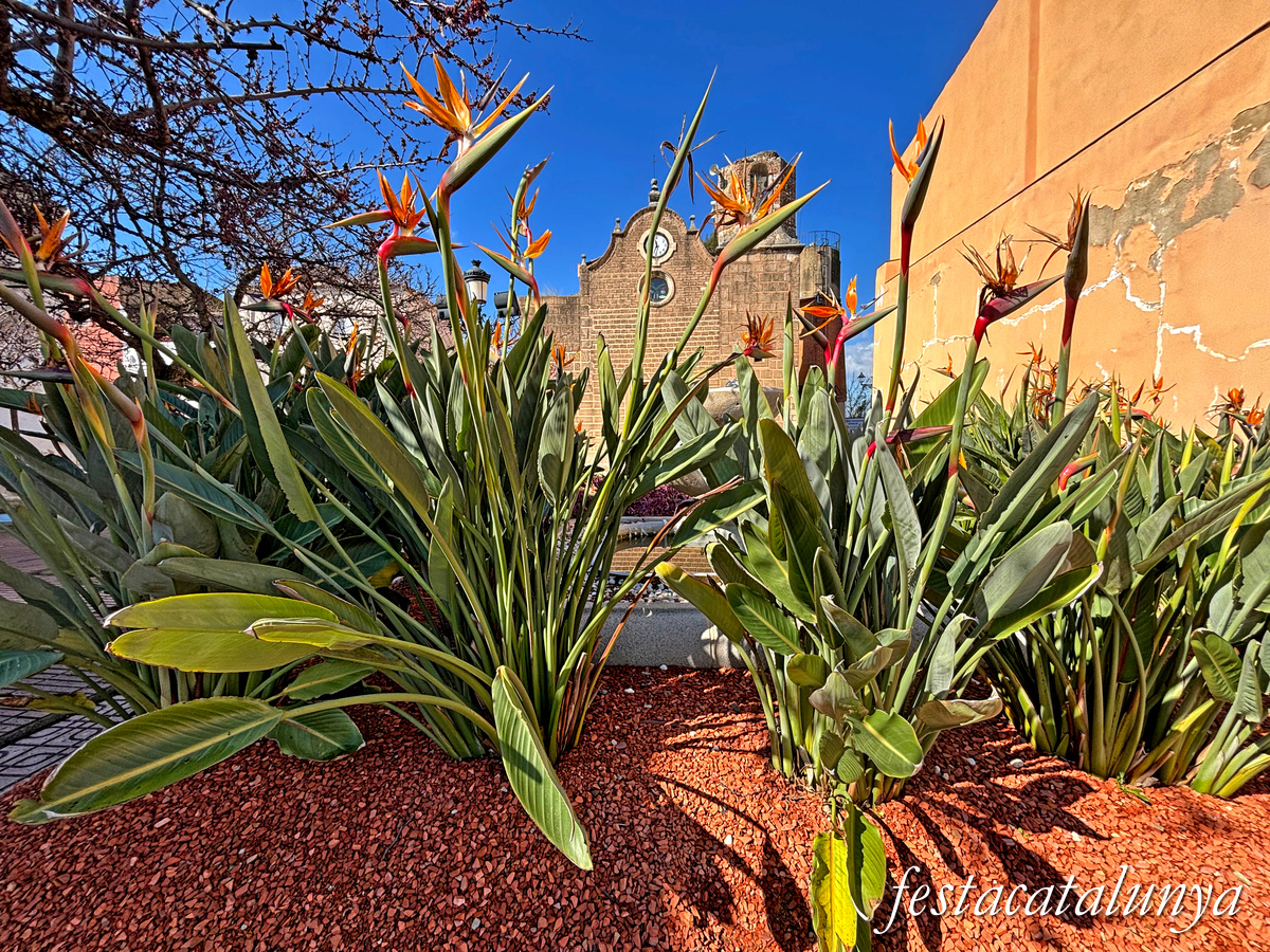 Perafort - Església parroquial de Sant Sebastià de Puigdelfí 