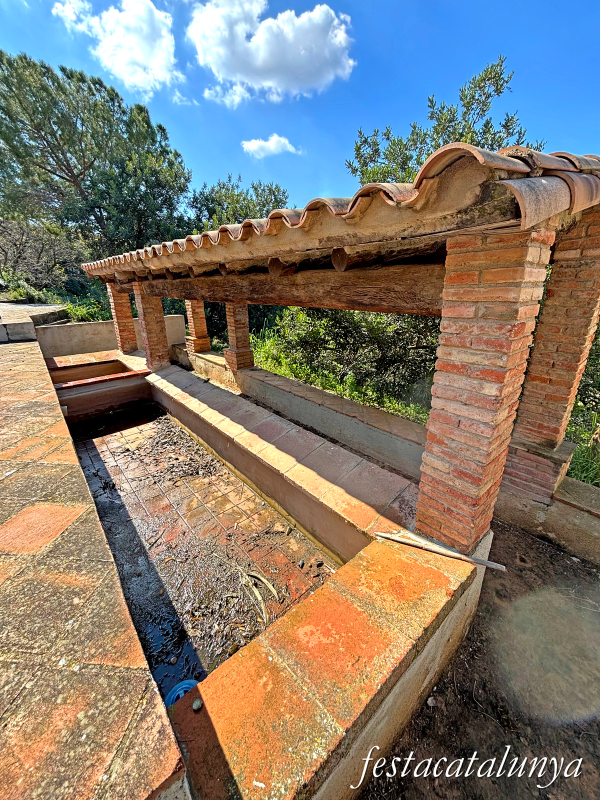 Perafort - Rentadors de Puigdelfí 