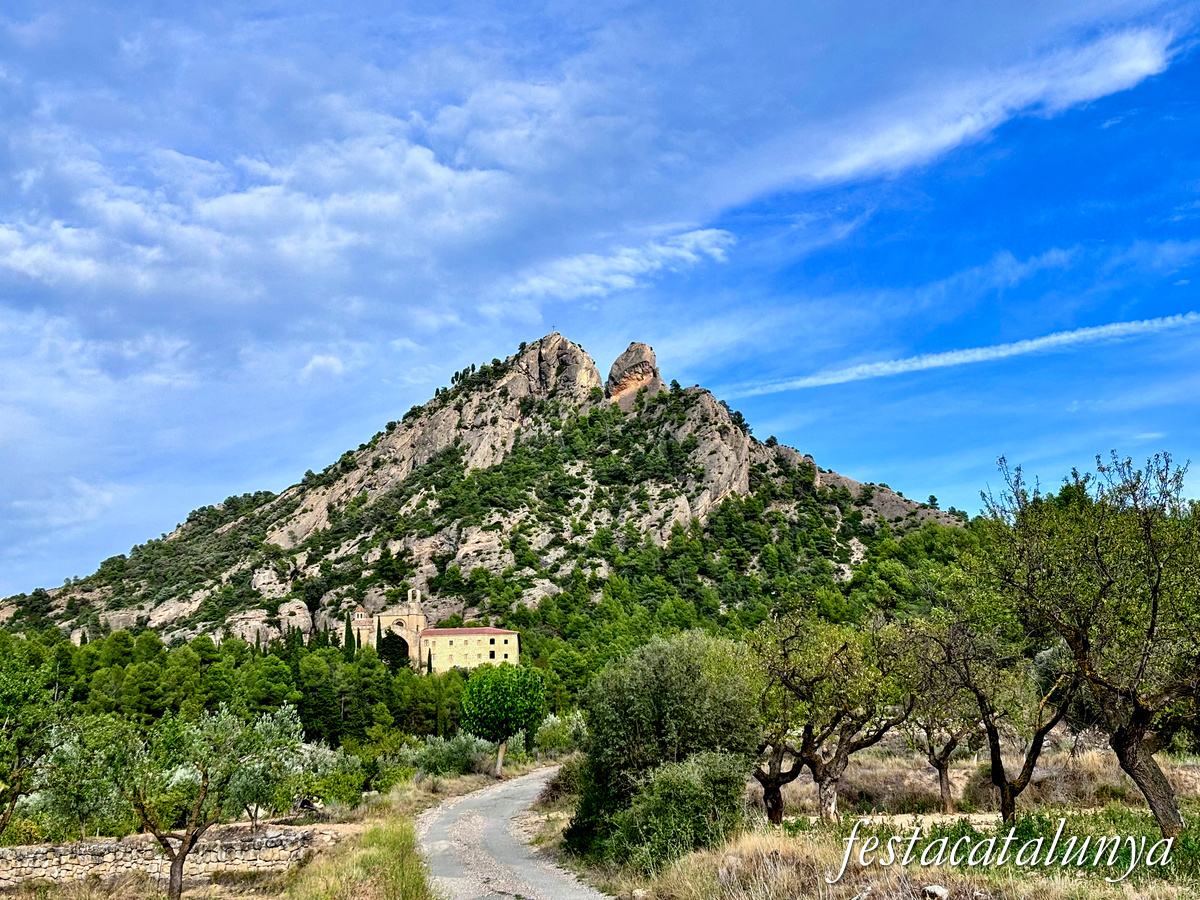 Ruta a la muntanya de Santa Bàrbara d’Horta de Sant Joan ***