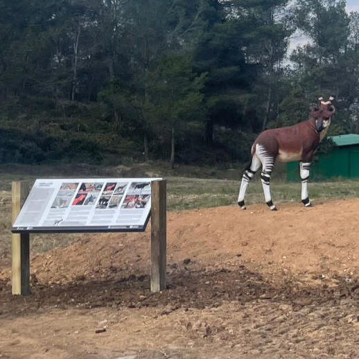 Visita Guiada al Jaciment Paleontològic Els Casots (Subirats)