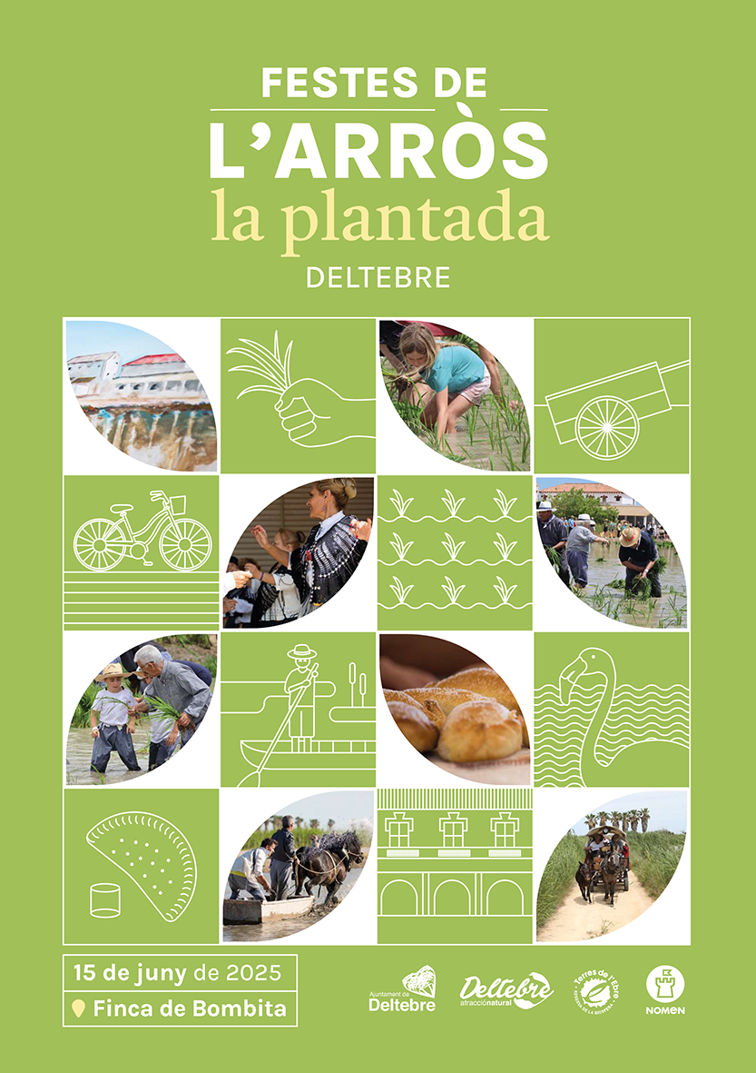 Festa de la Plantada de l'Arròs a Deltebre