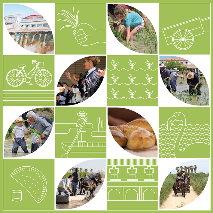 Festa de la Plantada de l'Arròs a Deltebre