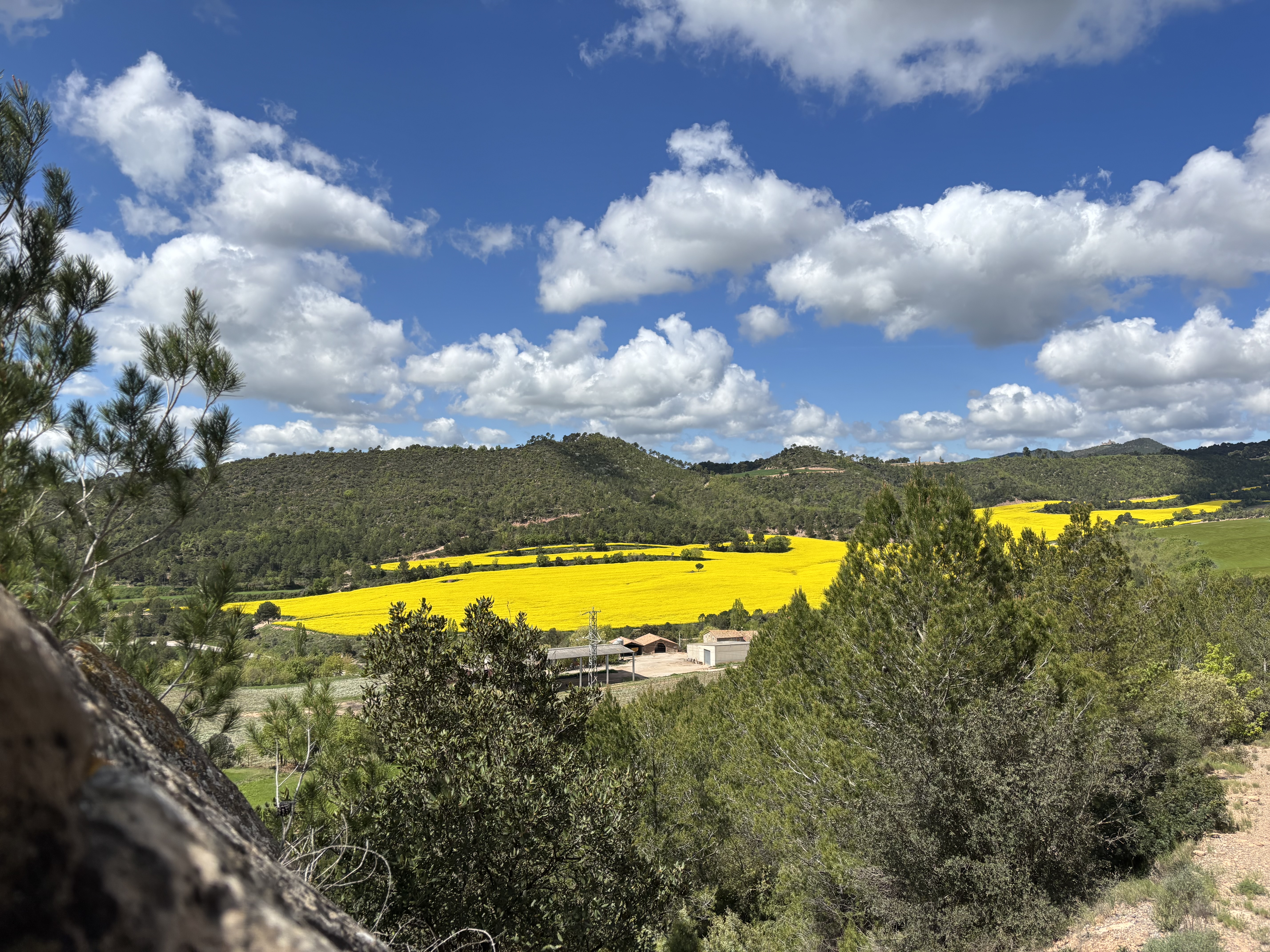 Vistes panoràmiques des del castell d'Aguilar a Aguilar de Segarra ***