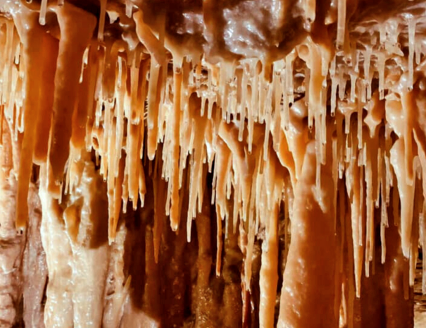 Coves Meravelles de Benifallet