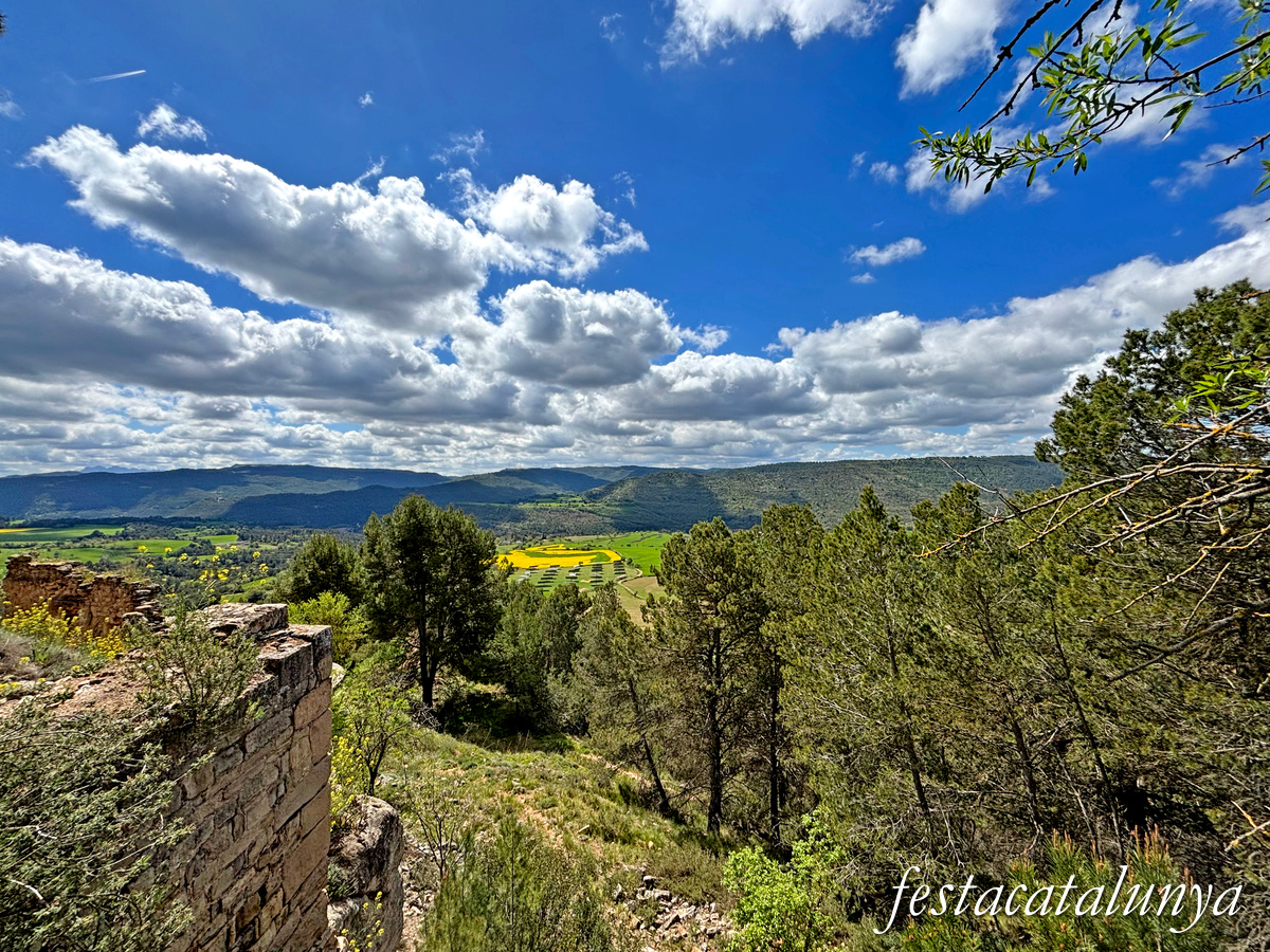 Aguilar de Segarra - Vistes panoràmiques des del castell d'Aguilar