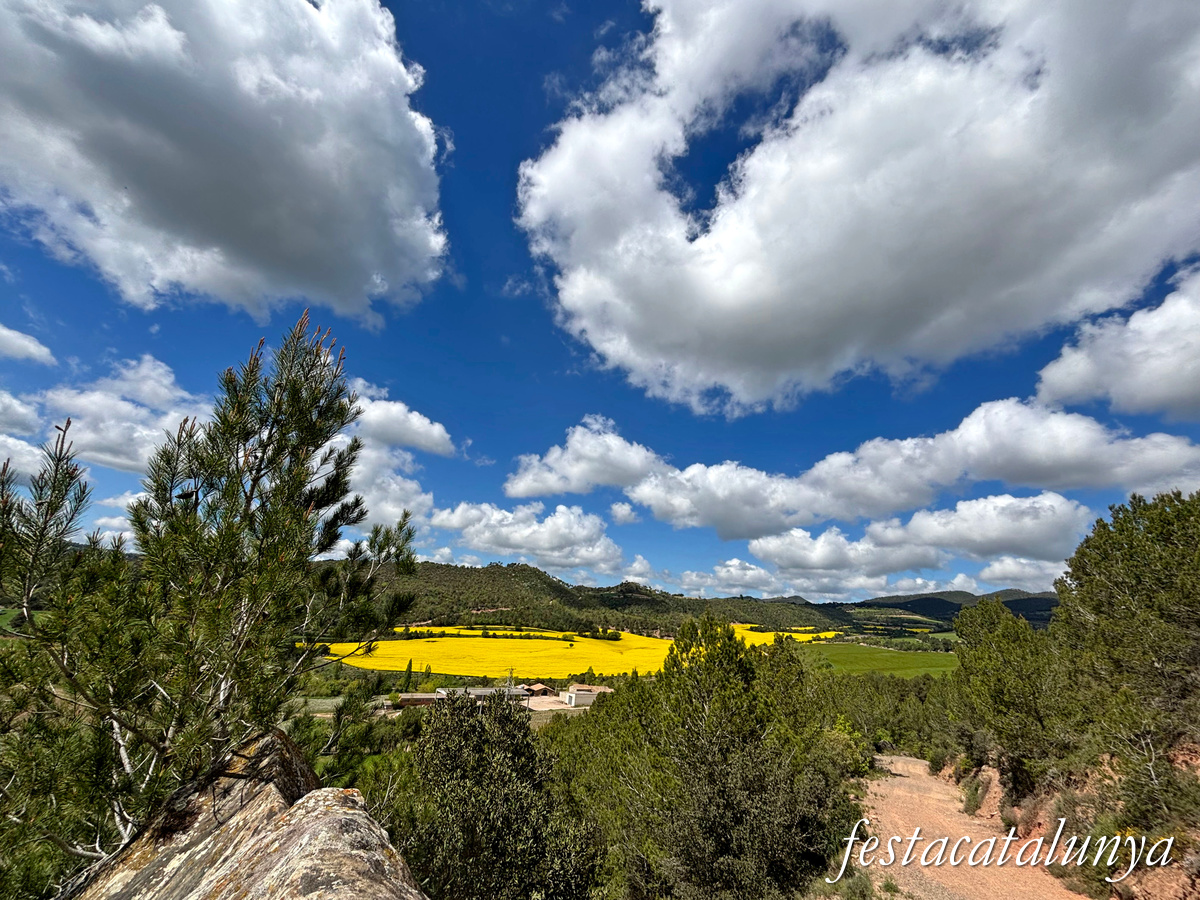 Aguilar de Segarra - Vistes panoràmiques des del castell d'Aguilar