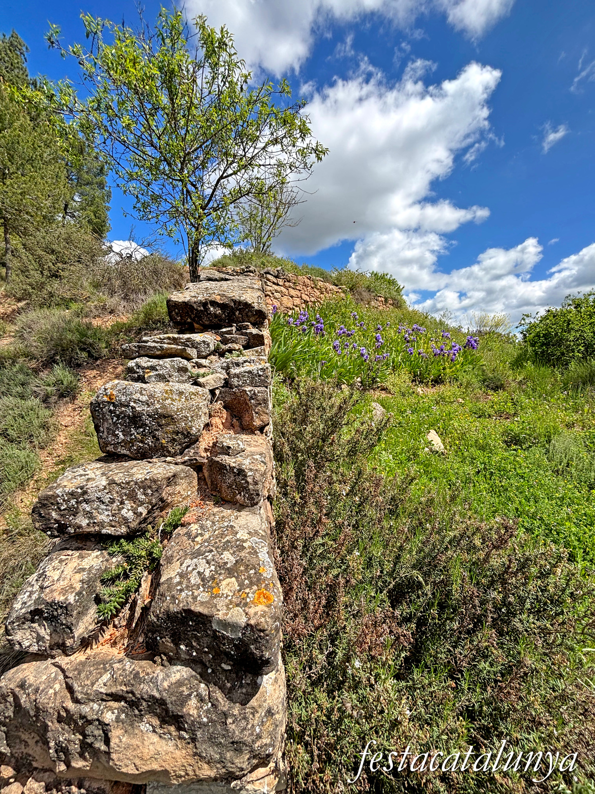 Aguilar de Segarra - Castell d'Aguilar