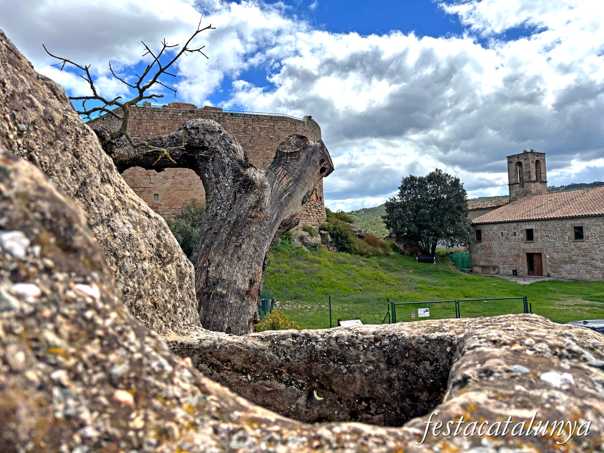 Cups del castell de Castellar a Aguilar de Segarra