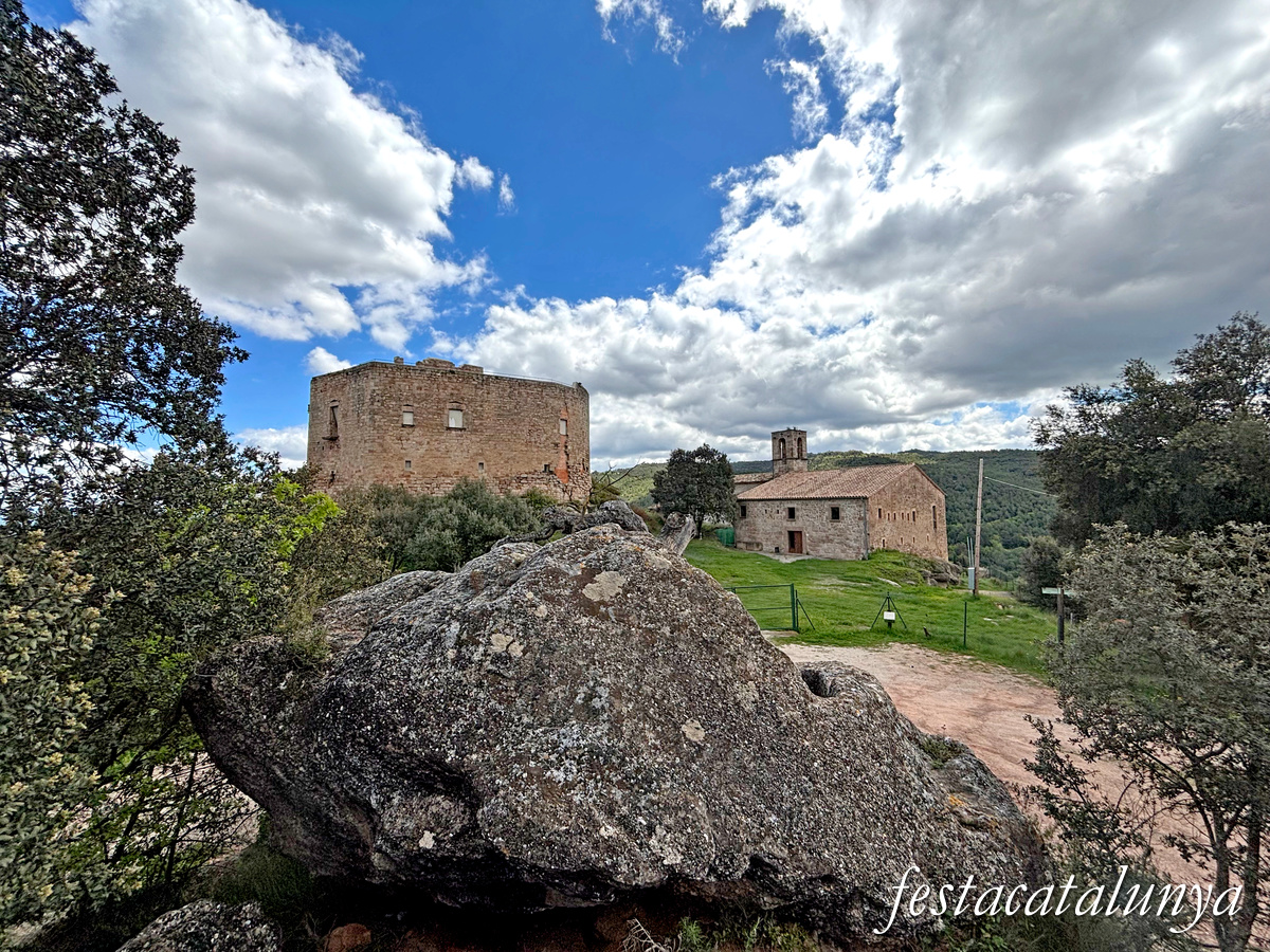 Aguilar de Segarra - Cups del castell de Castellar 
