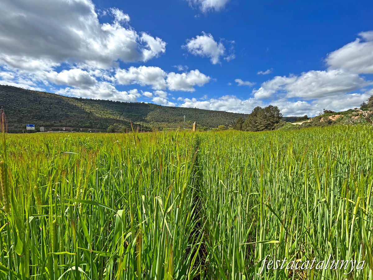 Aguilar de Segarra - Menhir de cal Giralt