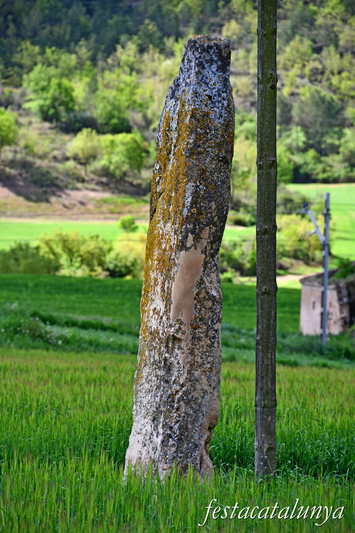 Aguilar de Segarra - Menhir de cal Giralt 