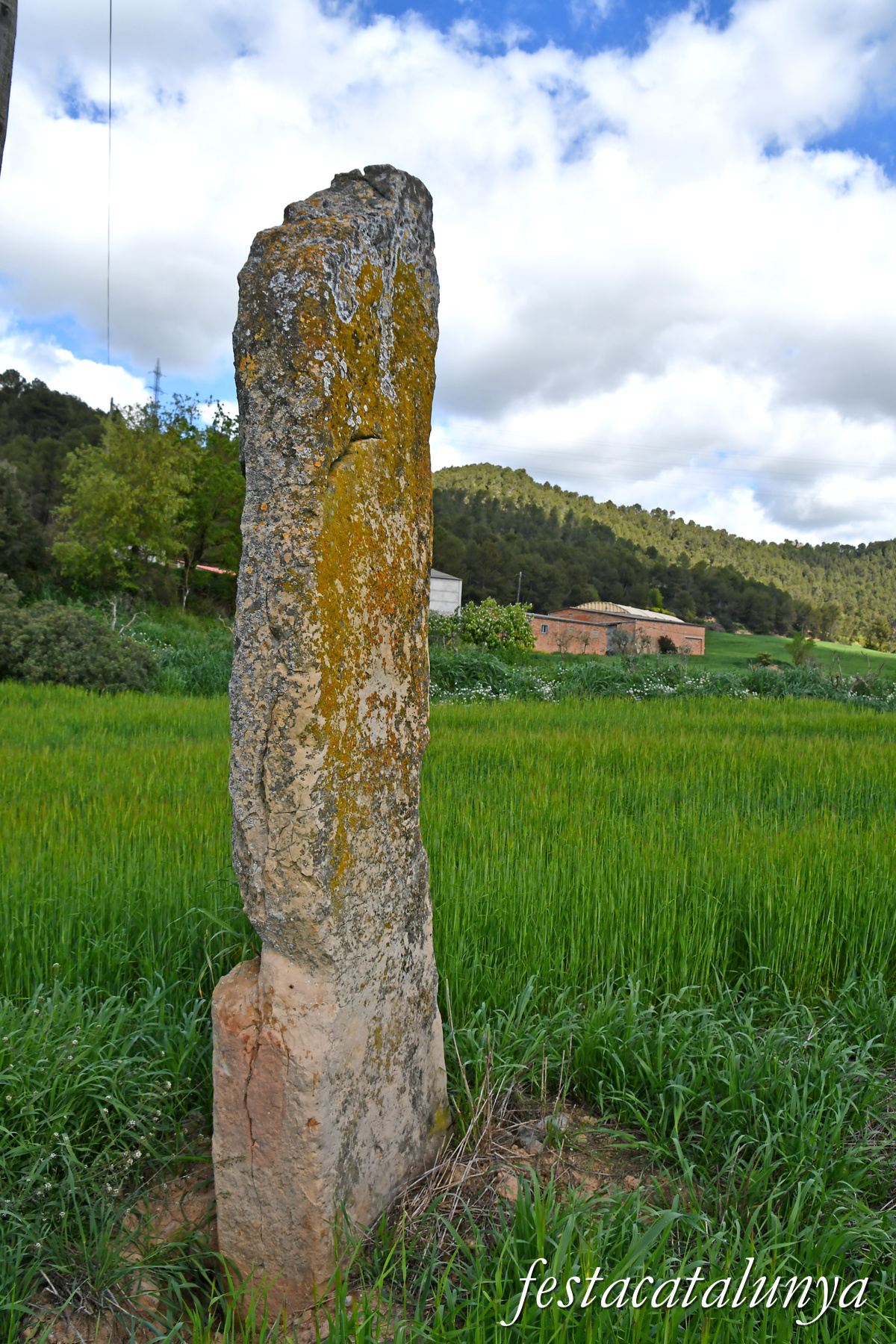 Aguilar de Segarra - Menhir de cal Giralt 