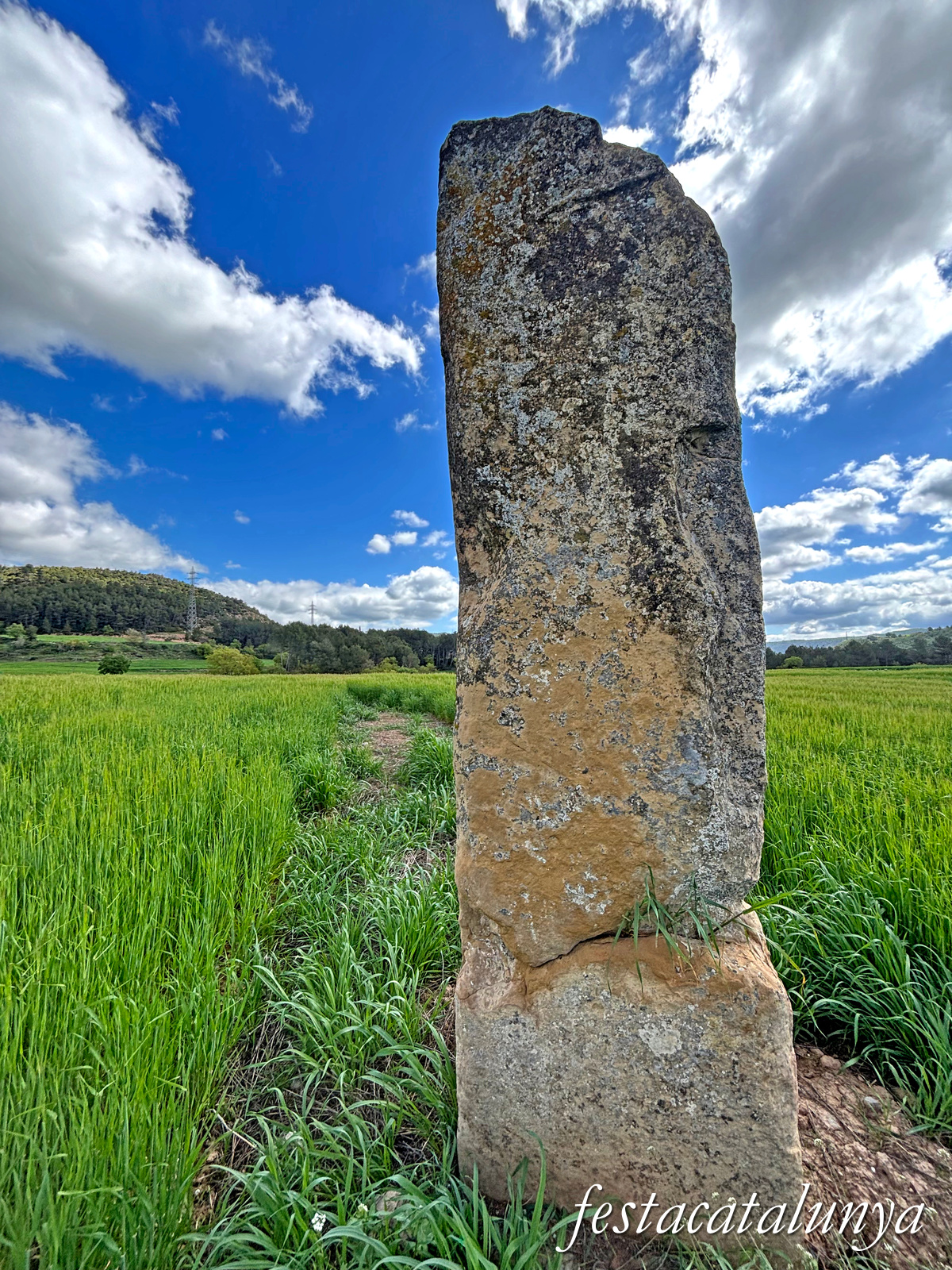 Menhir de cal Giralt a Aguilar de Segarra