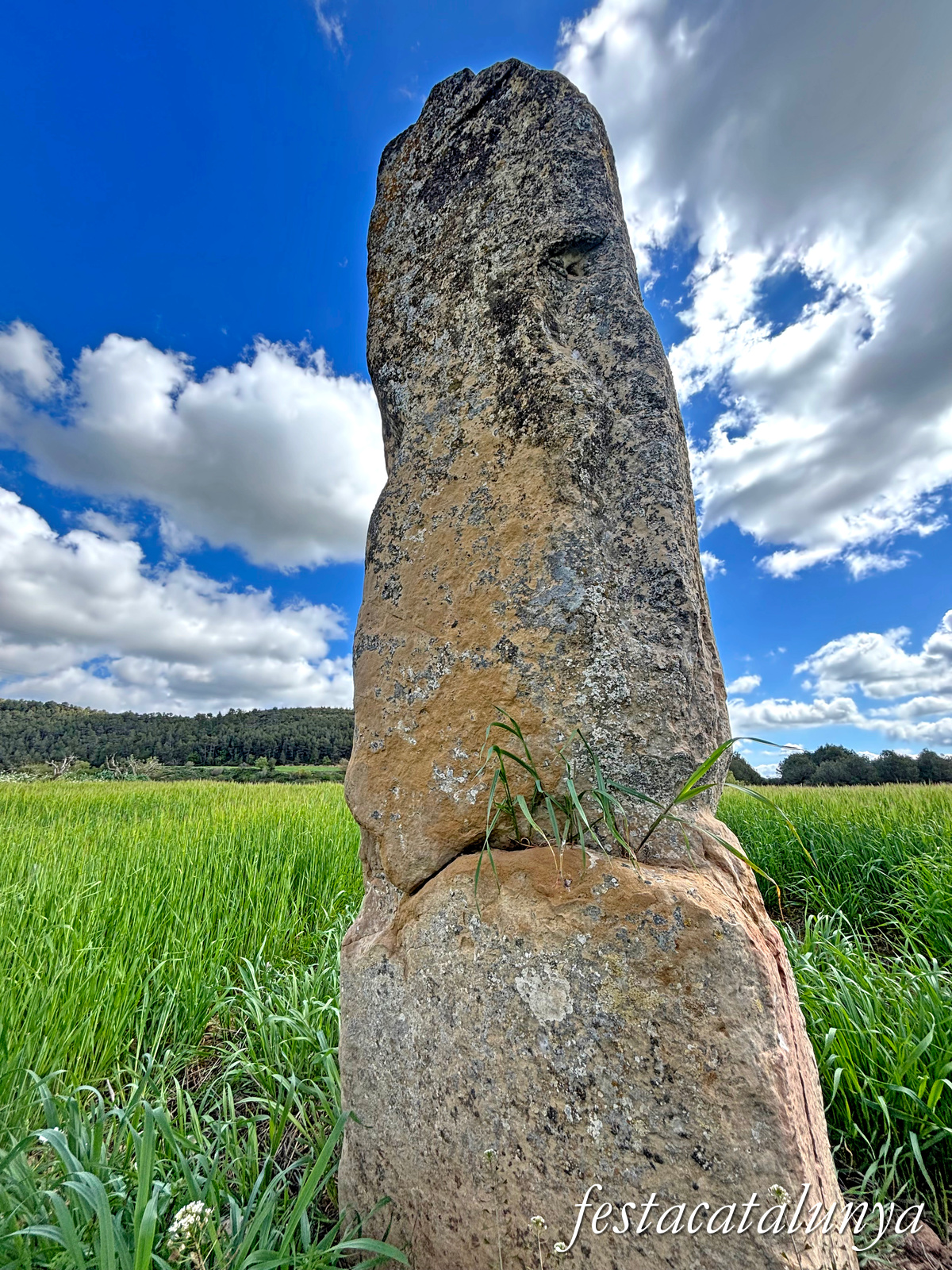 Aguilar de Segarra - Menhir de cal Giralt 