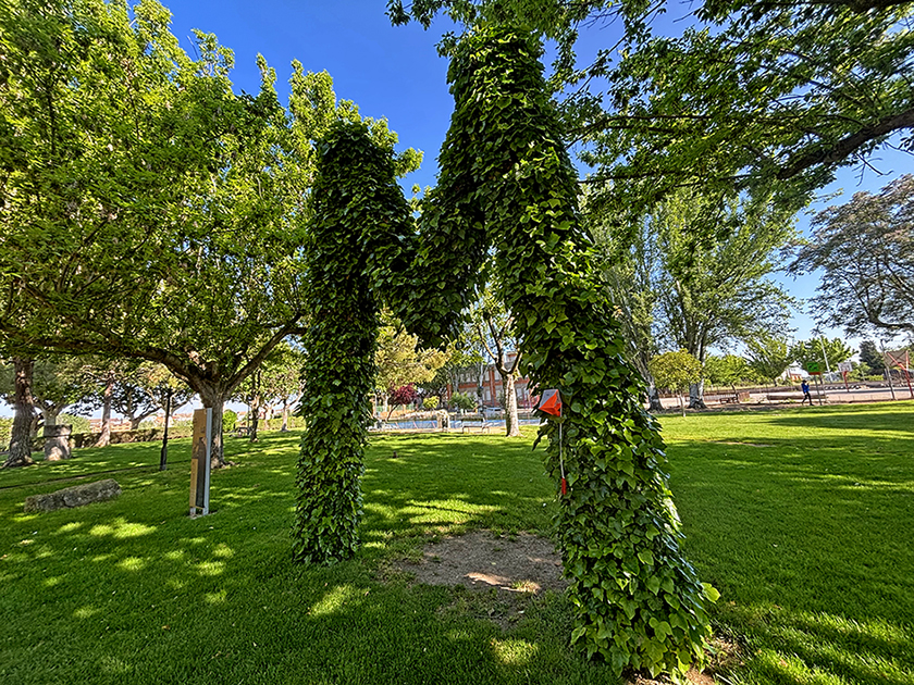 Parc de l'ermita a Ivars d'Urgell