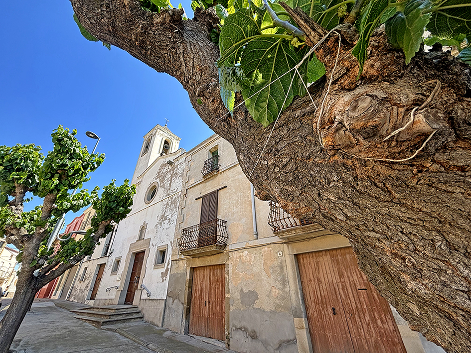 Vallverd a Ivars d'Urgell