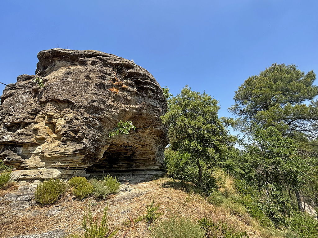 Codro Gros de Monistrol de Calders