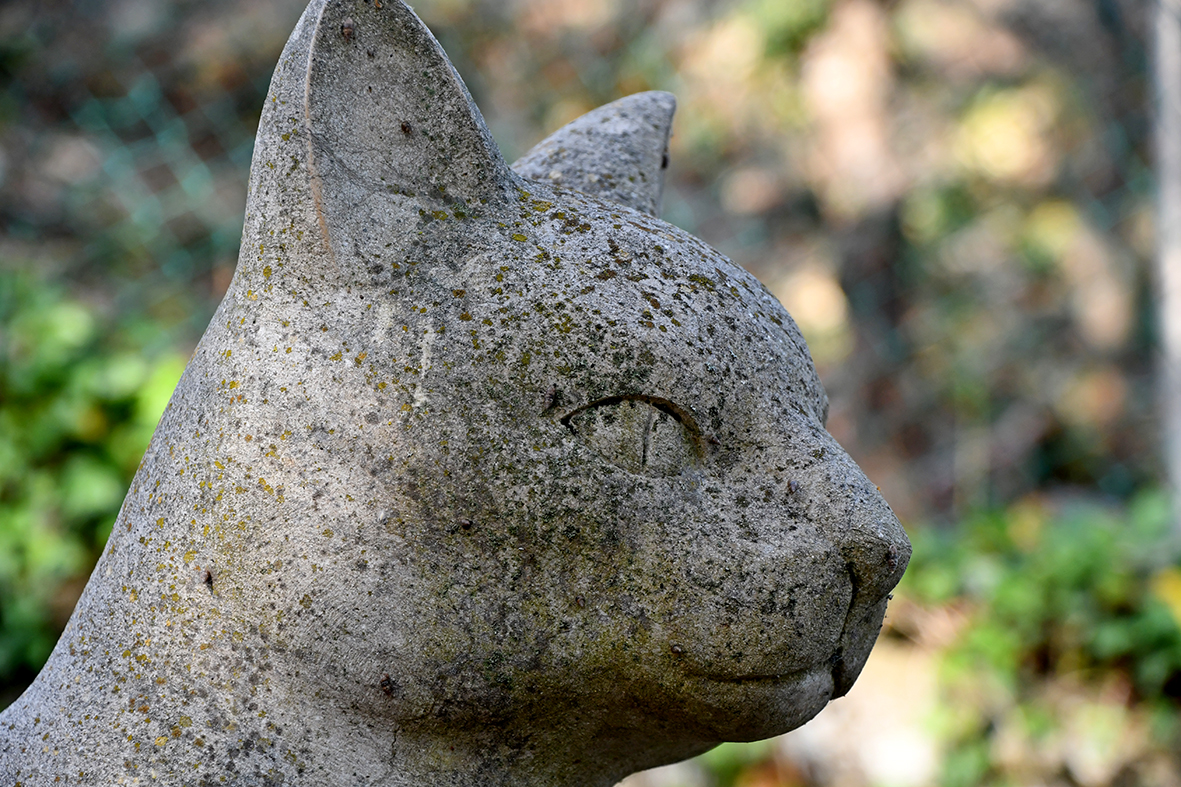 Escultura Gat de Tomàs Bel i Sabatés a Monistrol de Calders
