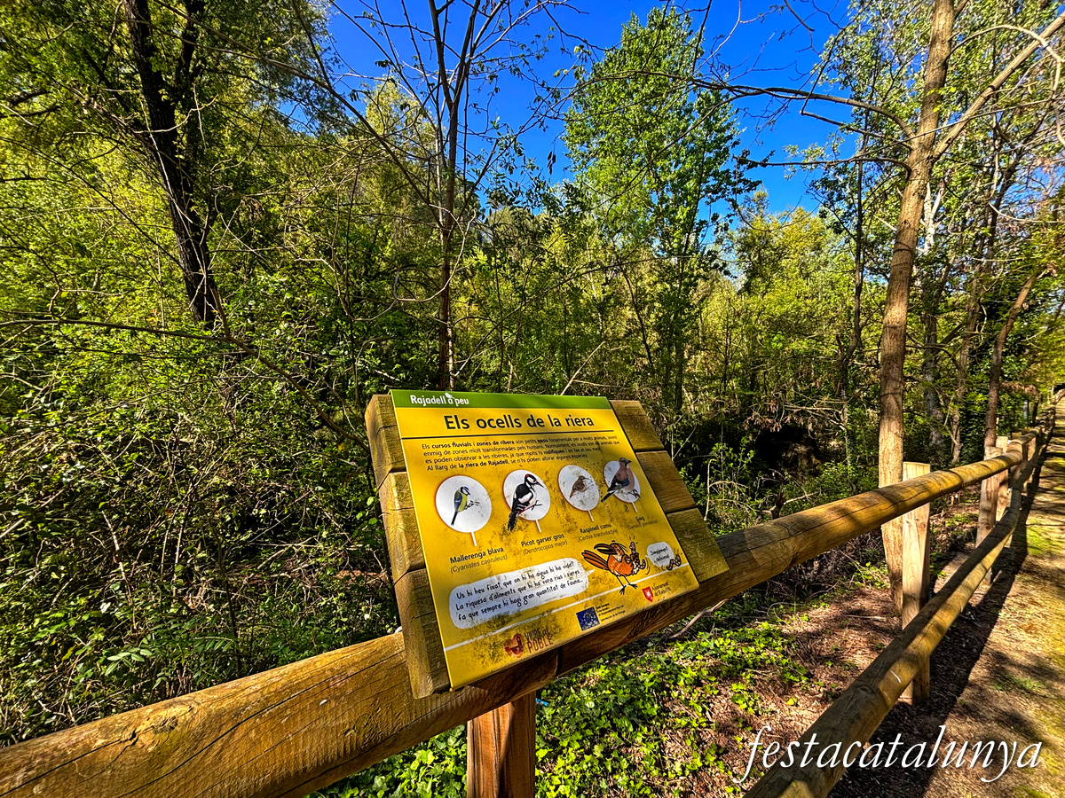 Rutes a peu per Rajadell