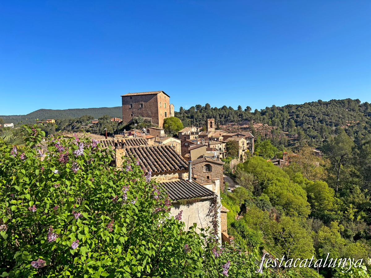 Rajadell - Castell 