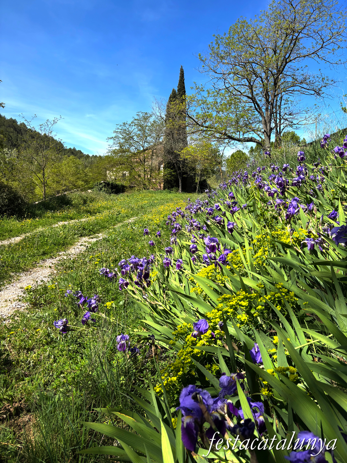 Rajadell - Santa Llúcia del mas del Forn 