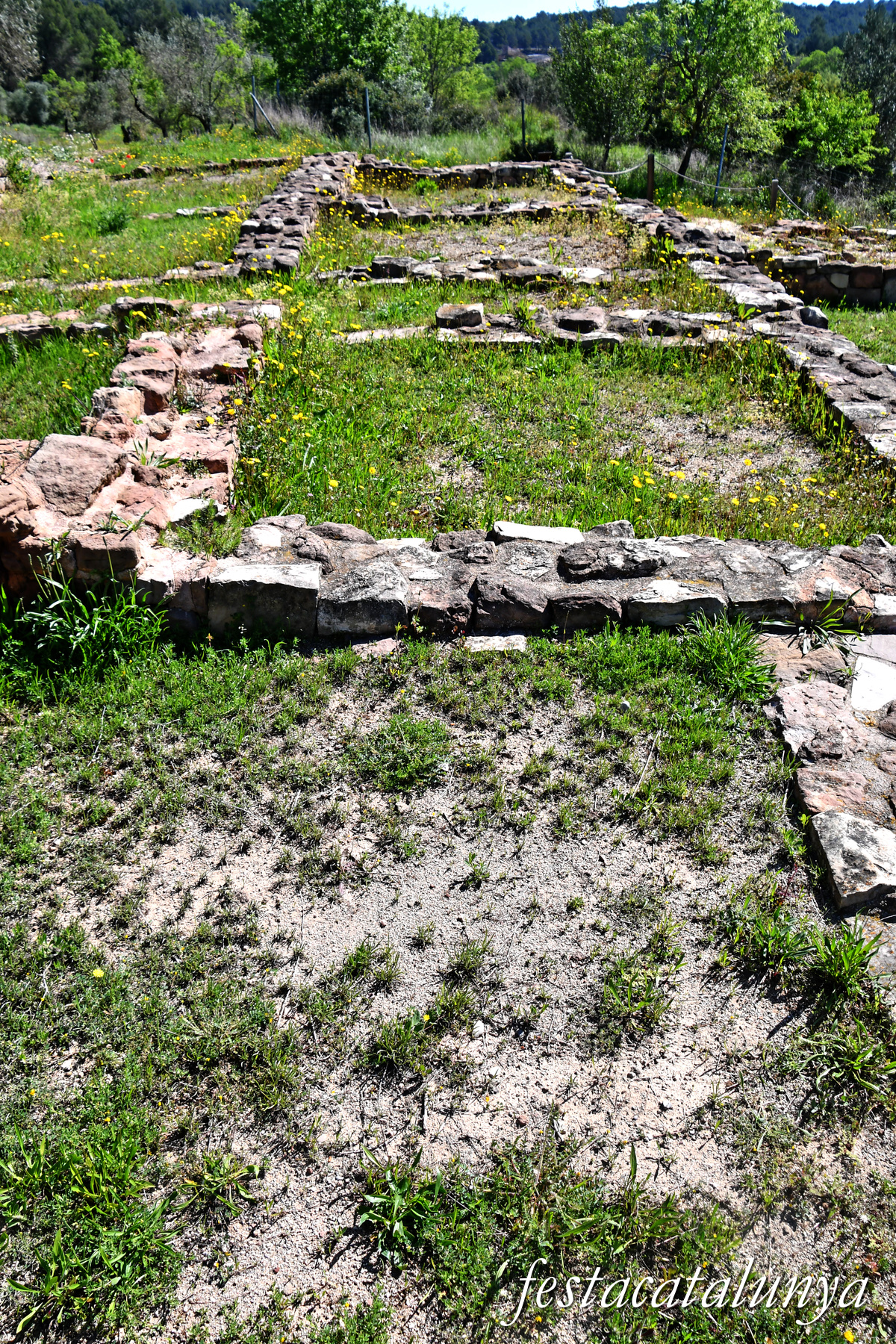 Rajadell - Vil·la romana de Sant Amanç de Viladés