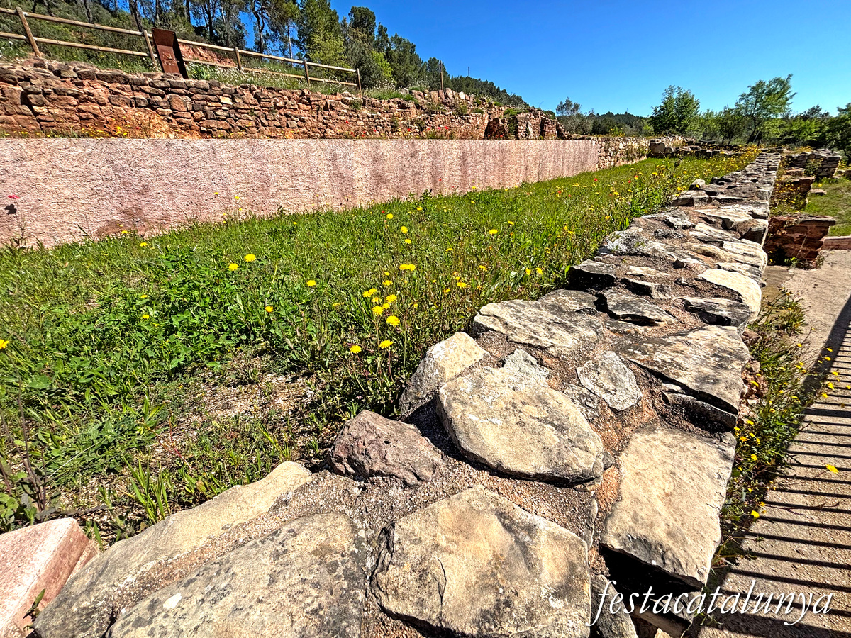 Rajadell - Vil·la romana de Sant Amanç de Viladés 