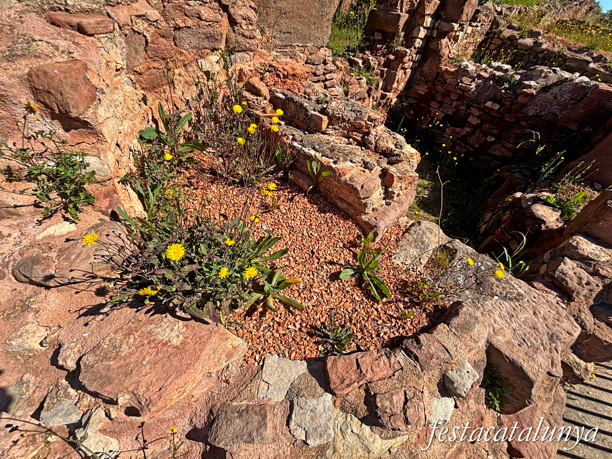 Rajadell - Vil·la romana de Sant Amanç de Viladés 