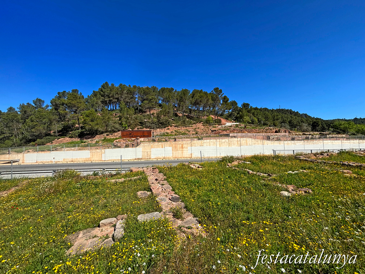 Rajadell - Vil·la romana de Sant Amanç de Viladés 
