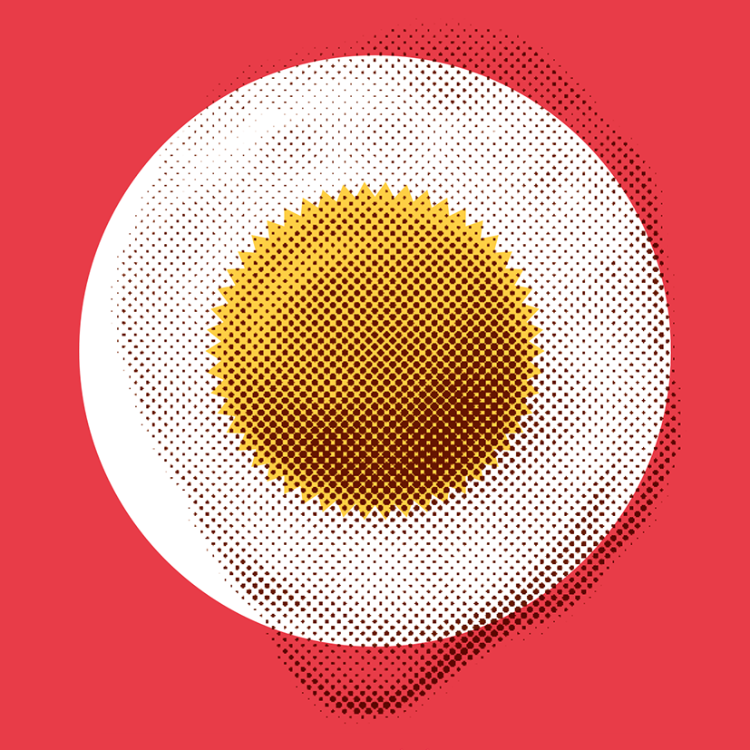 Activitats d'estiu a Figueres