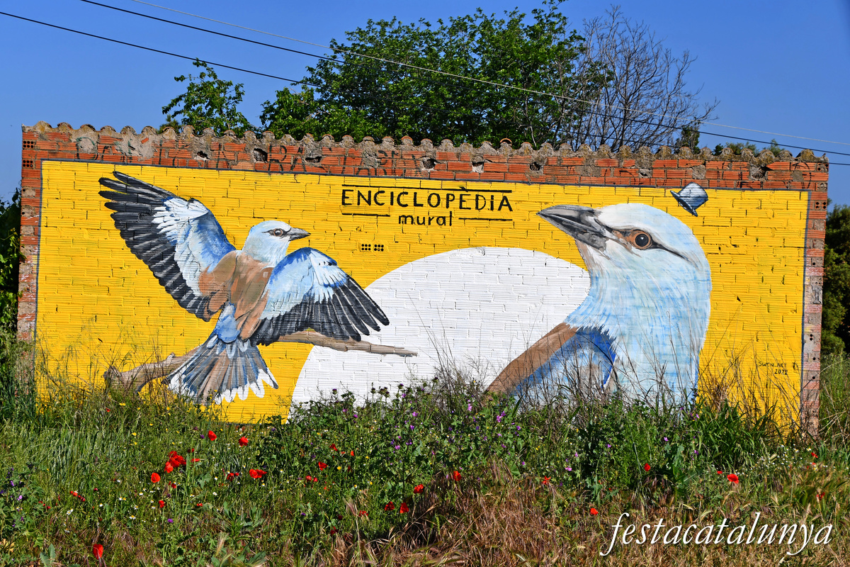 Ivars d'Urgell - Enciclopèdia mural 