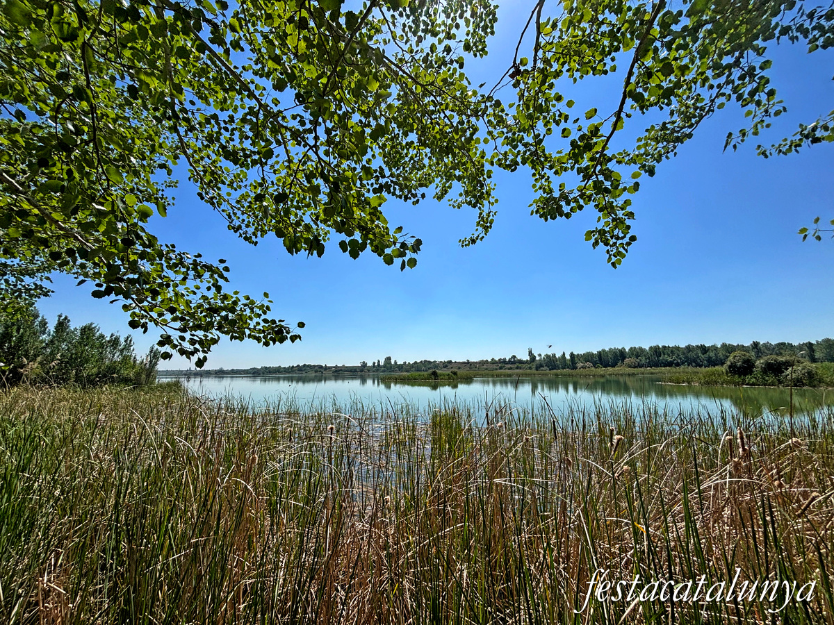 Ivars d'Urgell - Estany d'Ivars i Vila-sana