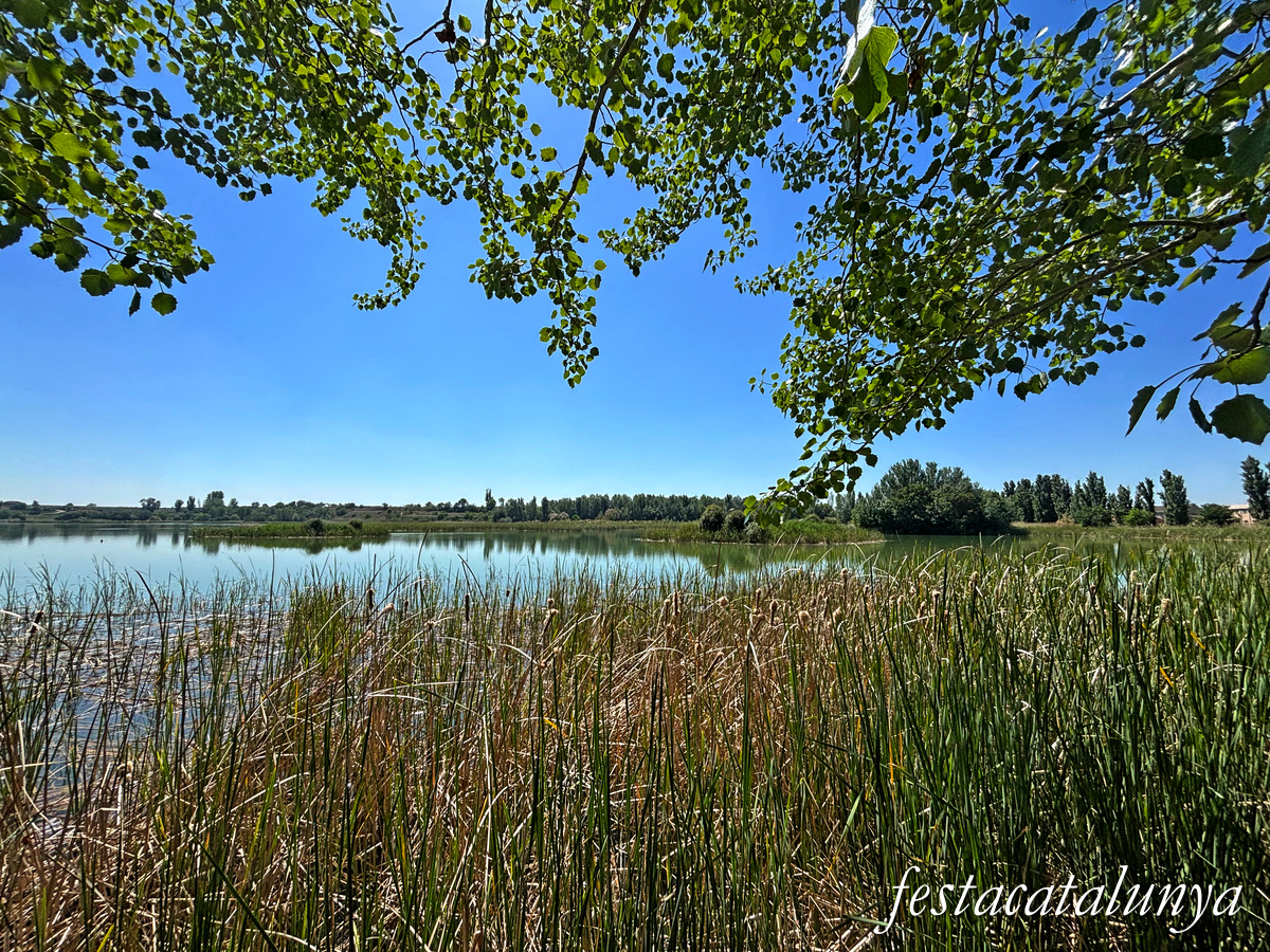 Ivars d'Urgell - Estany d'Ivars i Vila-sana