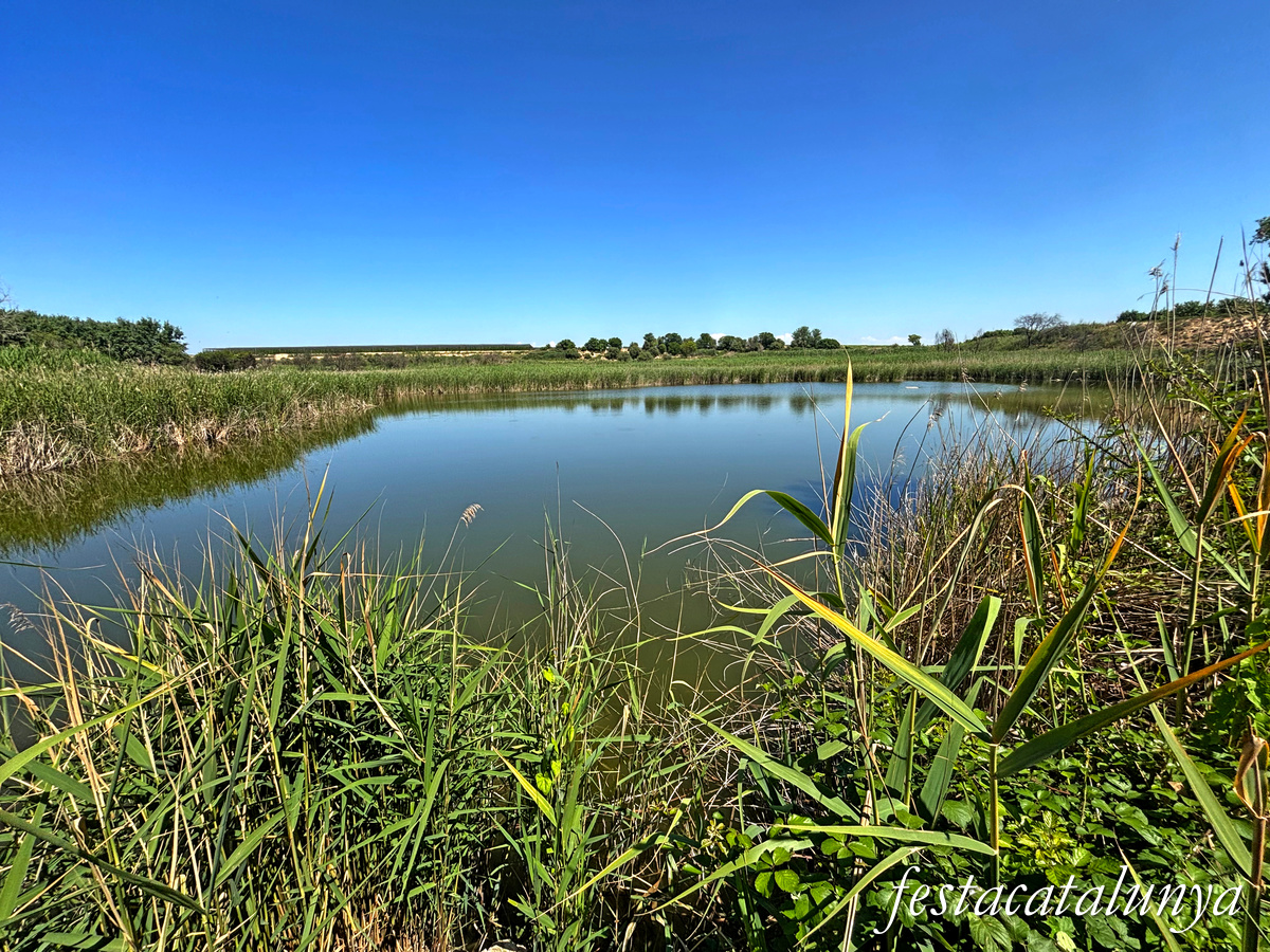 Ivars d'Urgell - Estany d'Ivars i Vila-sana
