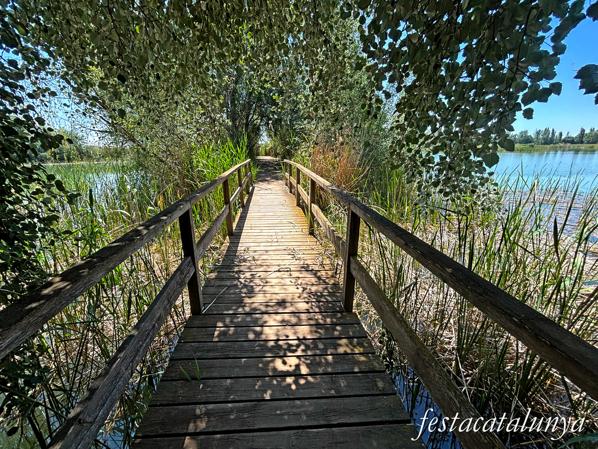 Ivars d'Urgell - Estany d'Ivars i Vila-sana