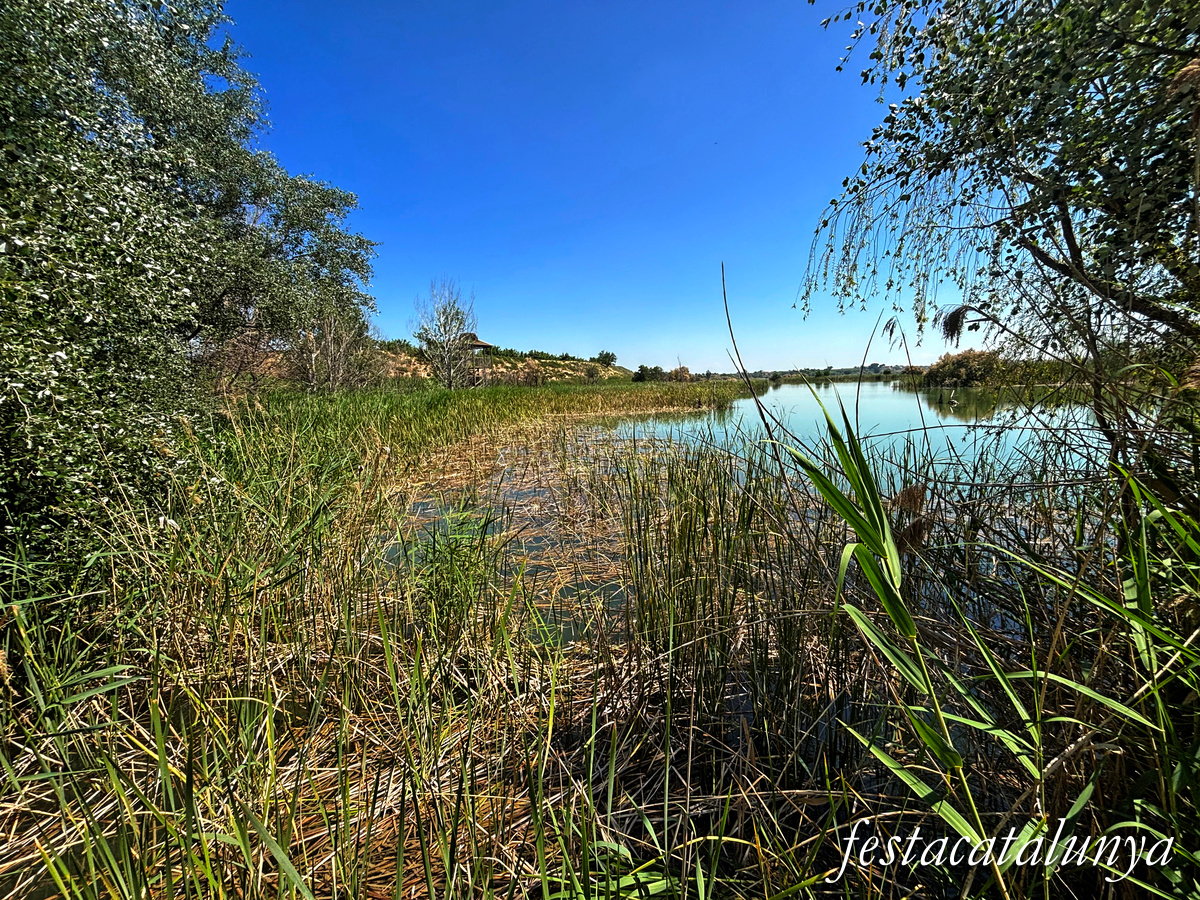 Ivars d'Urgell - Estany d'Ivars i Vila-sana