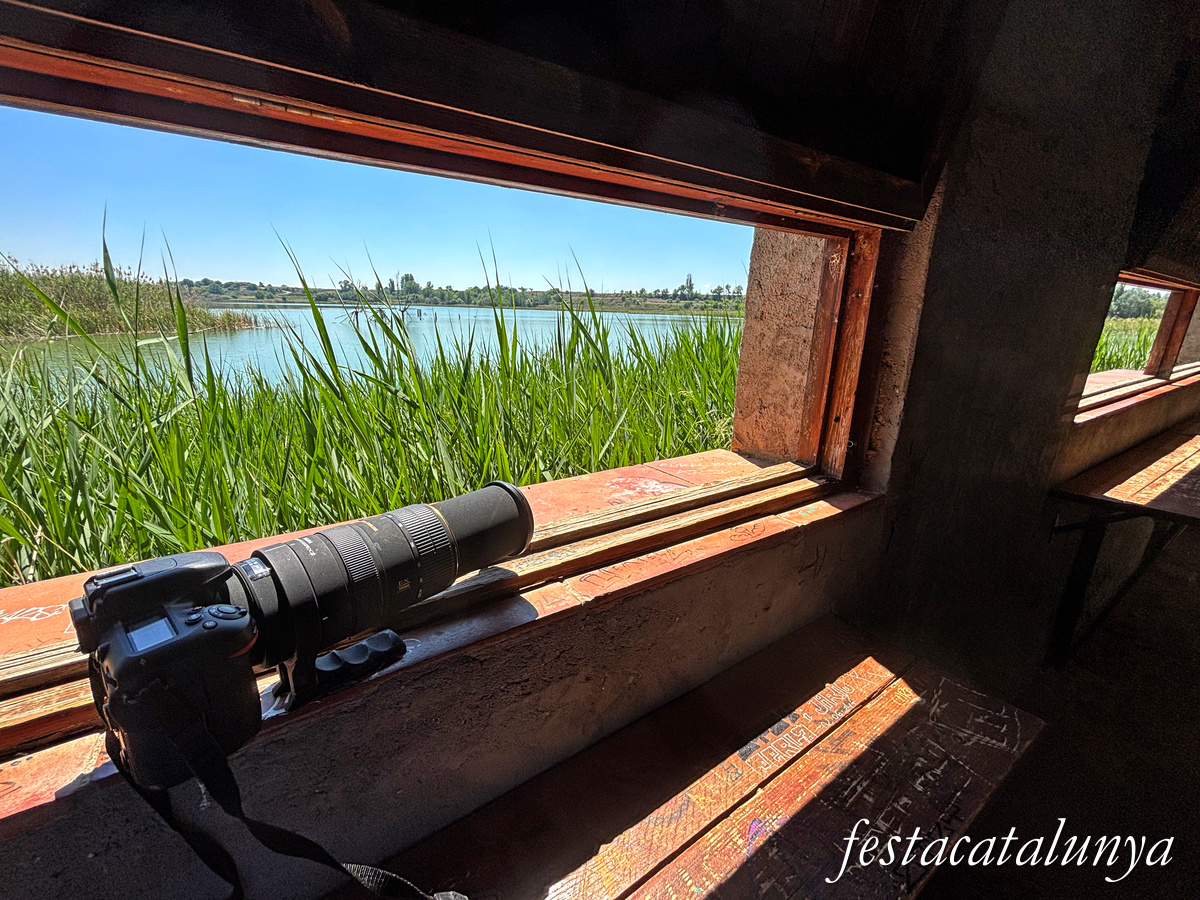 Ivars d'Urgell - Estany d'Ivars i Vila-sana