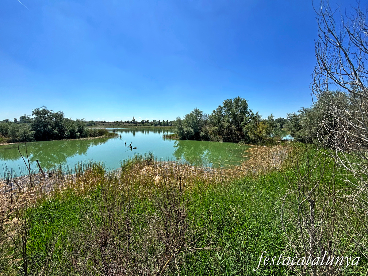 Ivars d'Urgell - Estany d'Ivars i Vila-sana