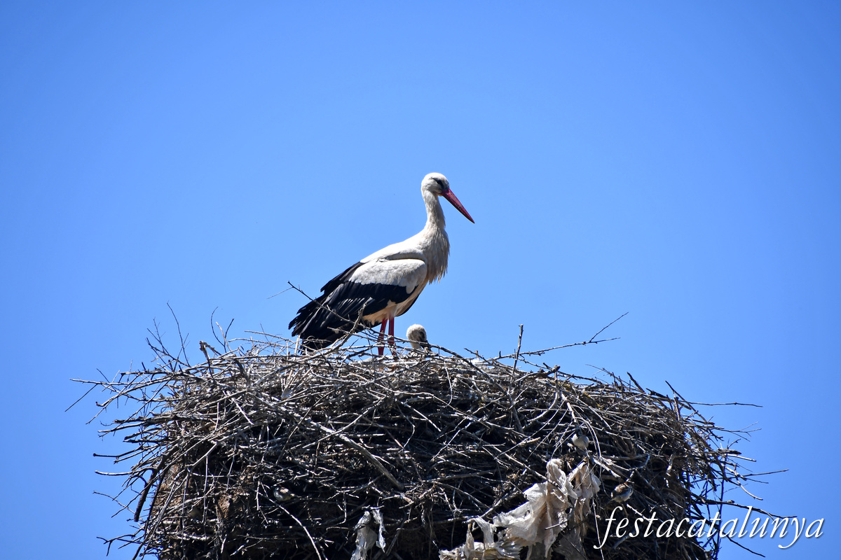 Ivars d'Urgell - Estany d'Ivars i Vila-sana