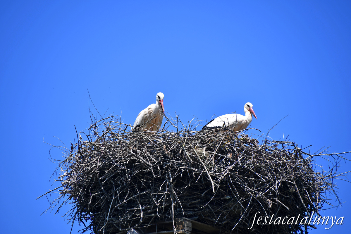 Ivars d'Urgell - Estany d'Ivars i Vila-sana