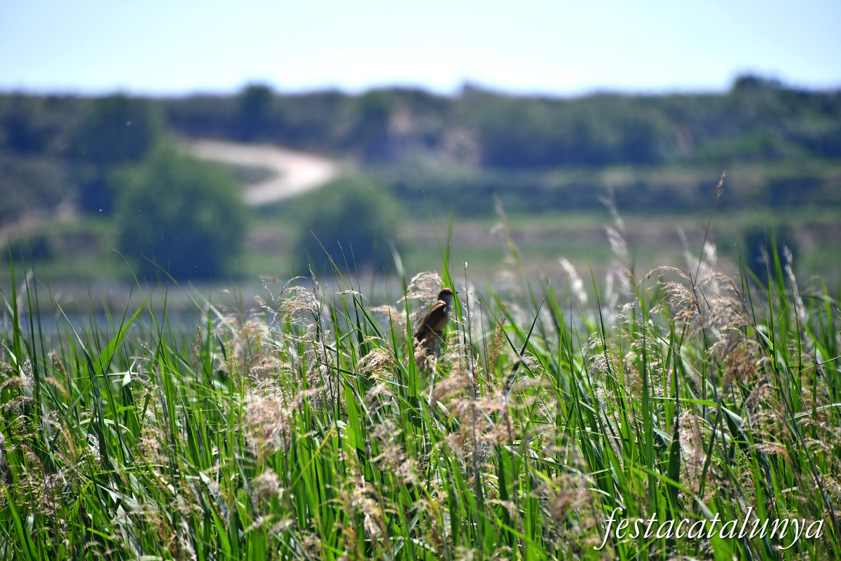 Ivars d'Urgell - Estany d'Ivars i Vila-sana