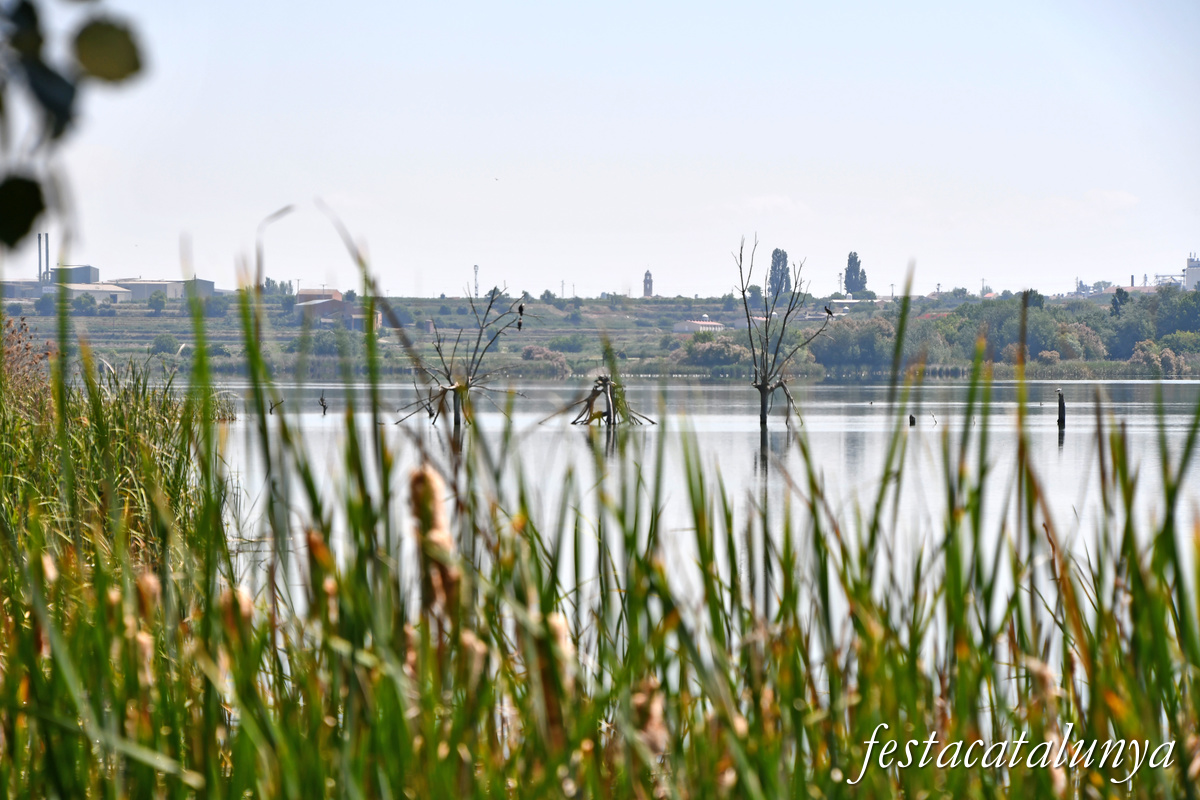Ivars d'Urgell - Estany d'Ivars i Vila-sana