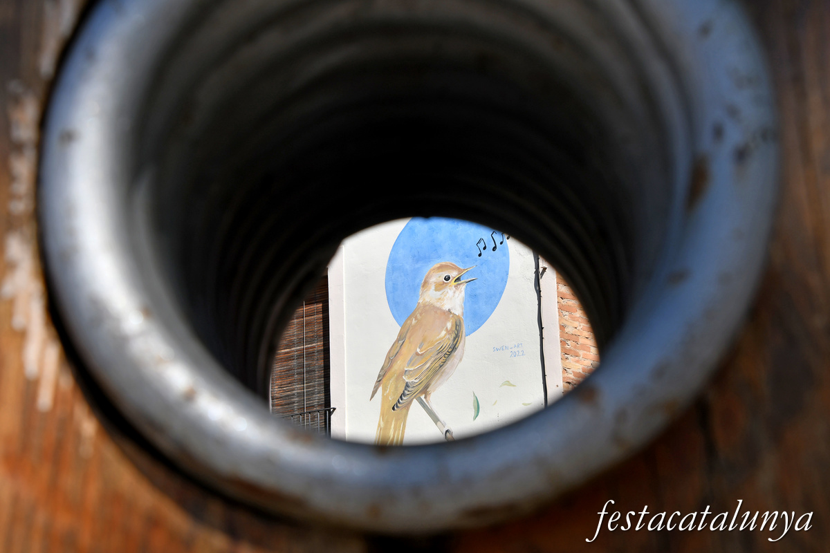 Ivars d'Urgell - Monument a la Sardana