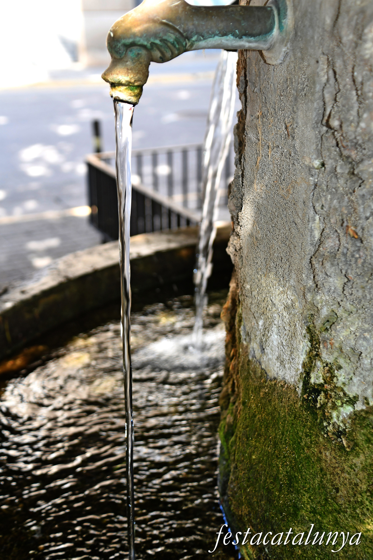 Ivars d'Urgell - Font dels sis brocs 