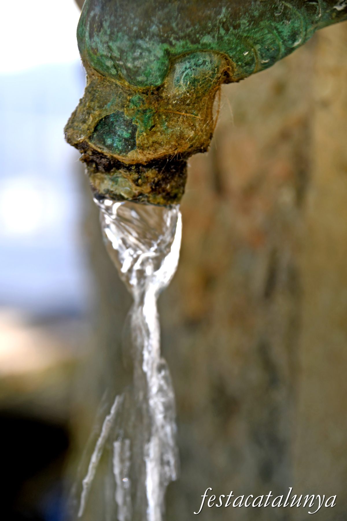 Ivars d'Urgell - Font dels sis brocs