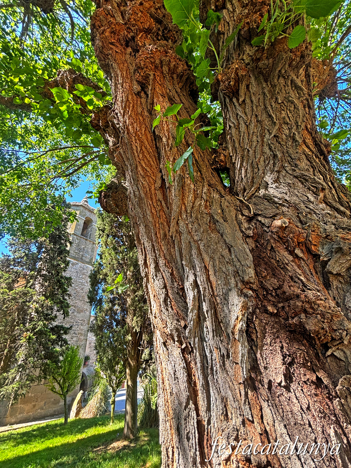 Ivars d'Urgell - Parc de l'ermita