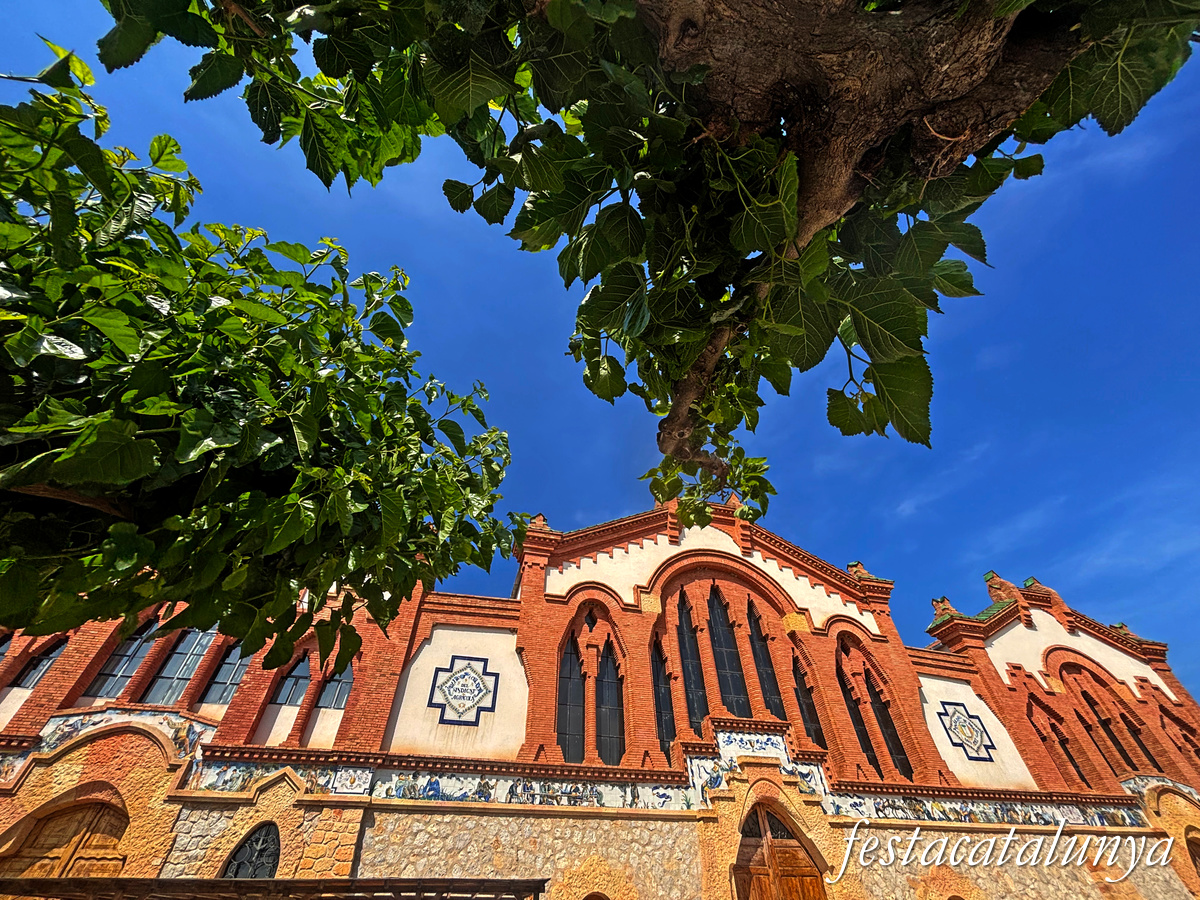 Pinell de Brai - Celler Cooperatiu de César Martinell